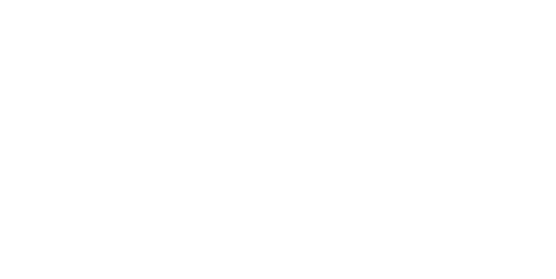 Logo de Cesantoni